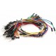 Jumper Wire M / M Pack (65pcs)